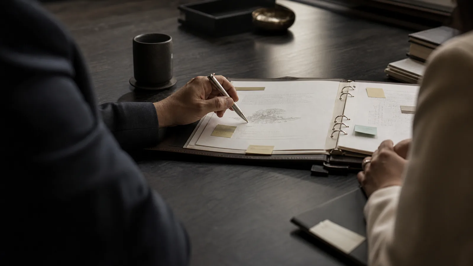 Professional consultant discussing strategies in a modern office